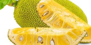 Jackfruit