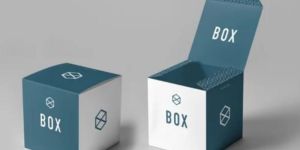 Printed Corrugated Boxes