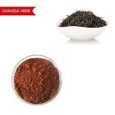 Black Tea Extract