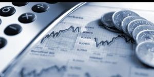 Income Tax Consultant