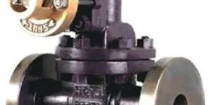 Cast Steel Parallel Slide Blow off Valve