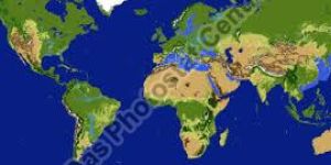 Image Color Editing Services