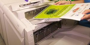 Laser Color Photocopy