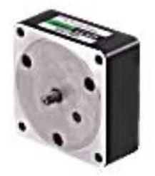 Oriental Parallel Shaft Gearhead