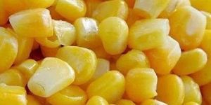 Frozen Sweet Corn
