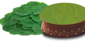 Moringa Leaves Powder