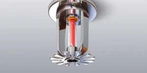 Fire Sprinkler System