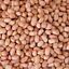 Peanut 25 Kgs