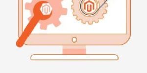 Magento Custom Extension Development Service