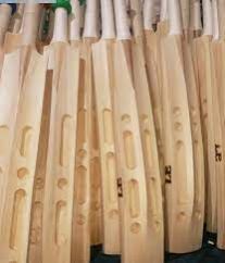 Scoop Bat