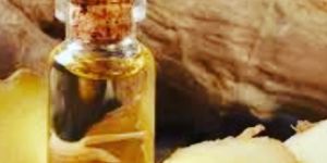 Ginger Oil