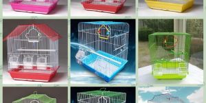 Bird Breeding Box