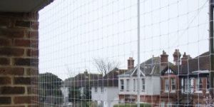 Pigeon Net