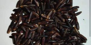 Organic Black Rice