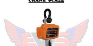 Electronic Crane Scale