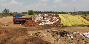 Coconut Shell Charcoal