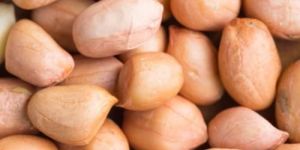 Bold Peanuts