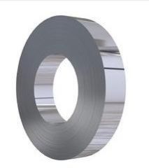 Stainless Steel Strips