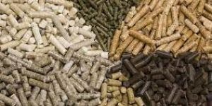 Compressed Wood Pallets