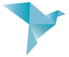 Custom App Development Services for Ios and Android