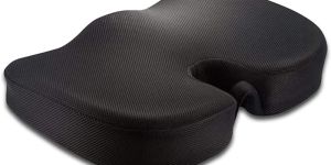 Coccyx Cushion Seat