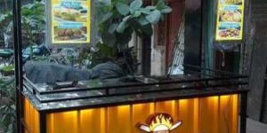 Food Cart