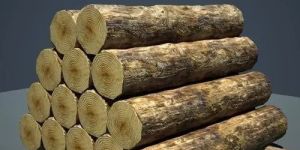 Timber Logs