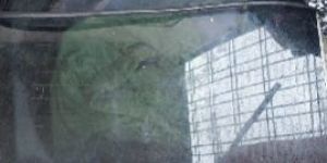 Washing Machine Repairing Services