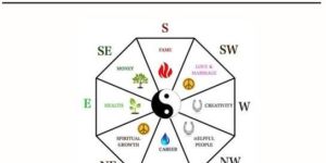 Vastu Consultants