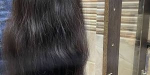 Human Hair Wigs