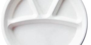 Bagasse Disposable Plate
