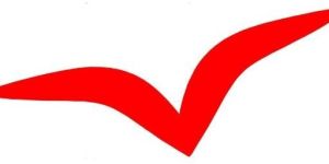 Website Development Service