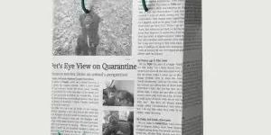 Recycled Newspaper Bags