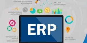 ERP Development Service