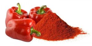 Red Capsicum