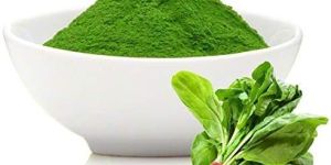 Spinach Powder