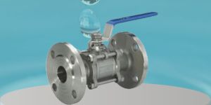 SS Ball Valves