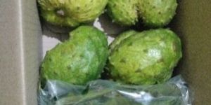 lakshmanphal Soursop fruit...