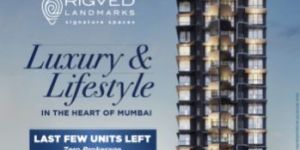 Self Adhesive Labels