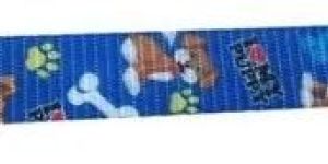 Printed Polyester Webbing