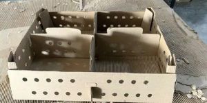 Corrugated Chick Box
