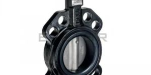 Butterfly Valve