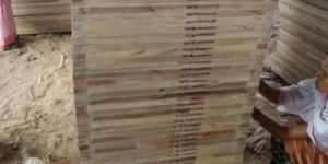 Pine Wood Flush Door