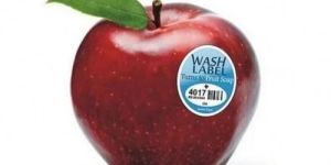 Adhesive Paper Fruit Sticker