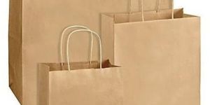 Paper Carry Bags