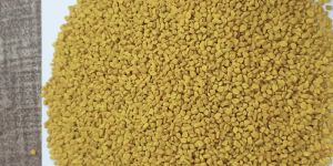 Fenugreek Seed