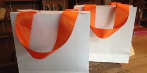 Eco- Friendly Paper Carry Bag