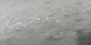 Polyester Plain Fabric