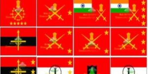 IAF CAR FLAGS