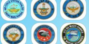 INDIAN EMBROIDERY PLASTIC BADGES